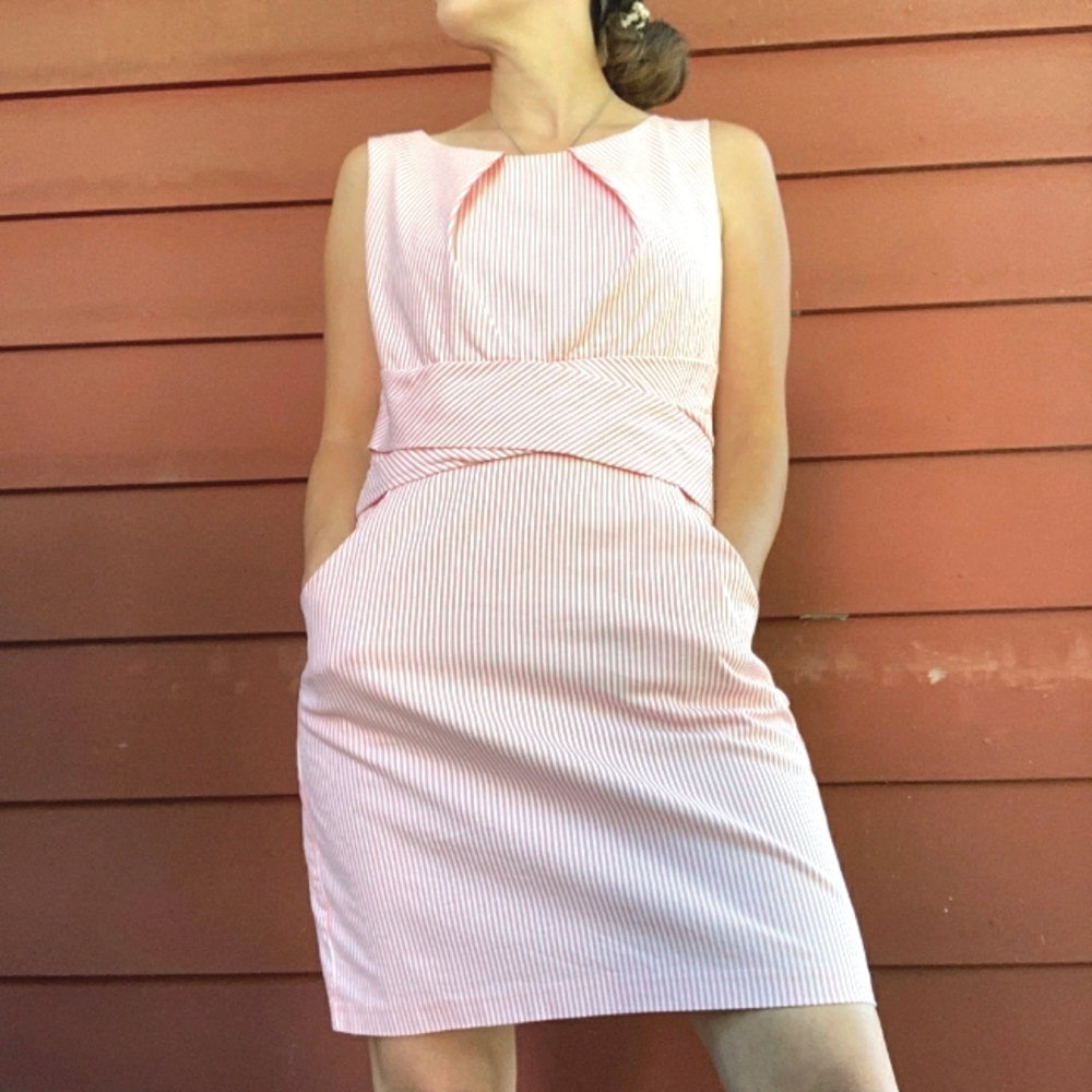 Pink Pin Stripe Dress